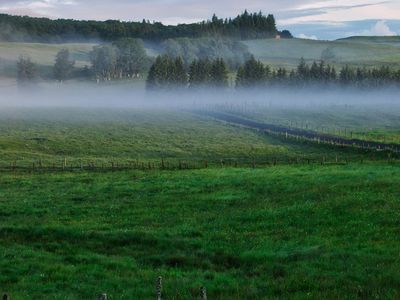 A serene natural landscape with morning fog.